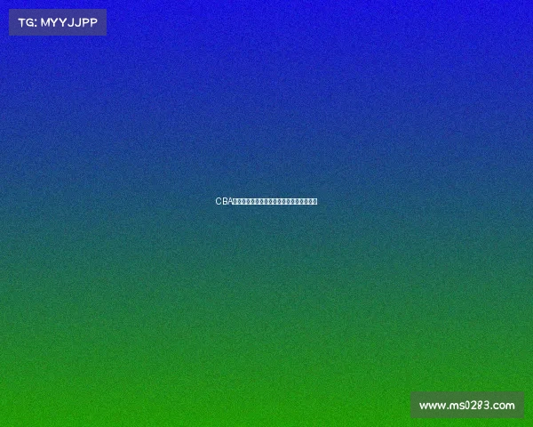 CBA归化球员对中国篮球发展的影响与挑战分析