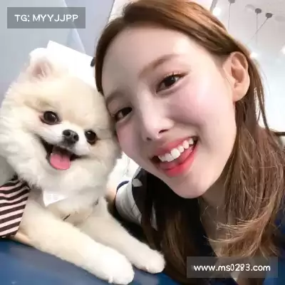 段迅煦