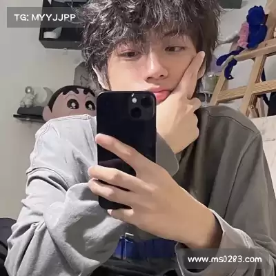 费艾贞